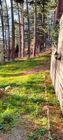 appartamento vacanze in sila lorica camigliatello parco nazionale baita legno