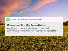Drenthe, Países Baixos (12 meses)