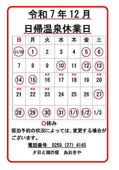 12月臨時休業のお知らせ-ページ-1.jpg