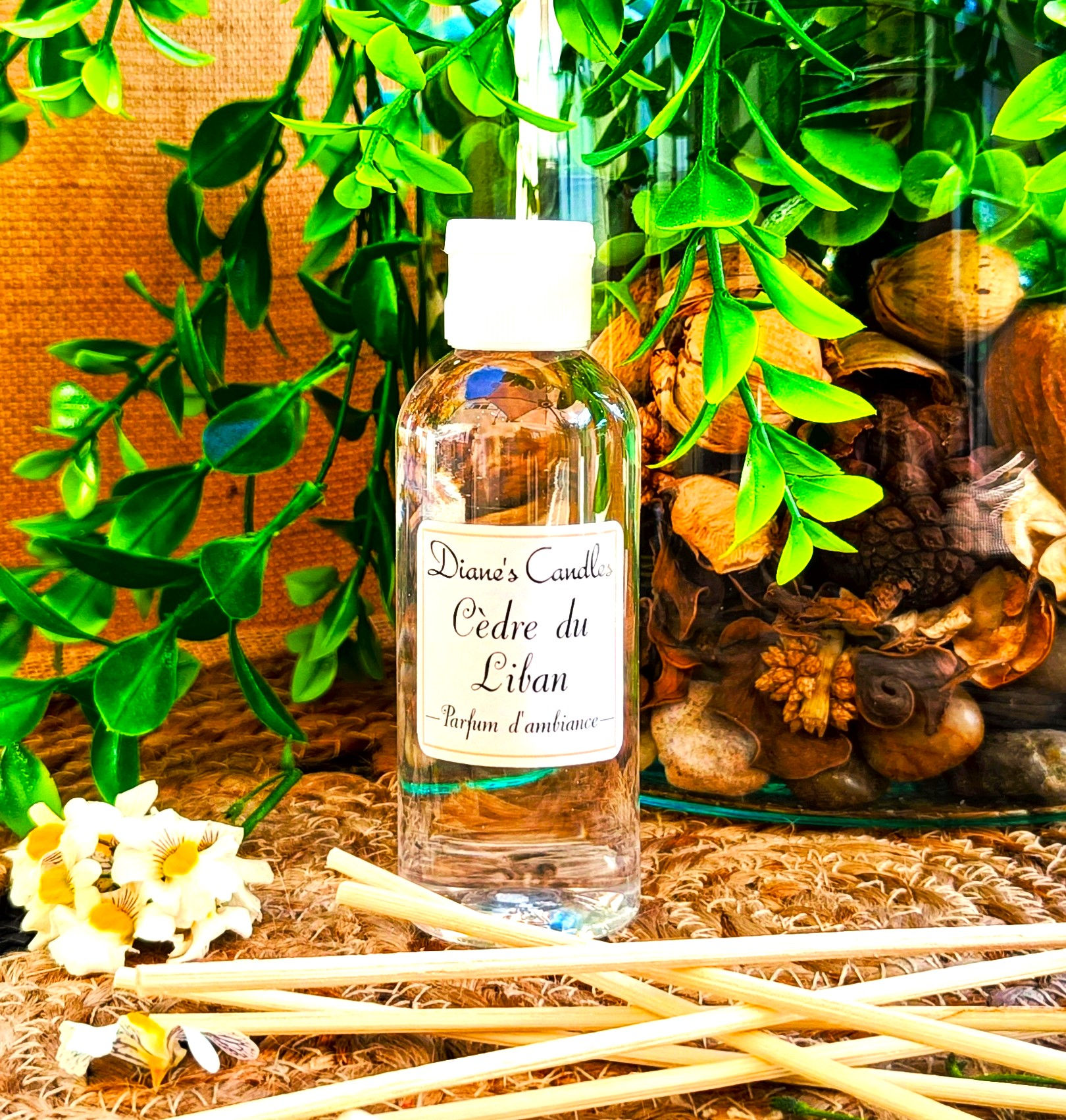 Recharge pour parfum d'ambiance Cèdre du Liban 100 ml