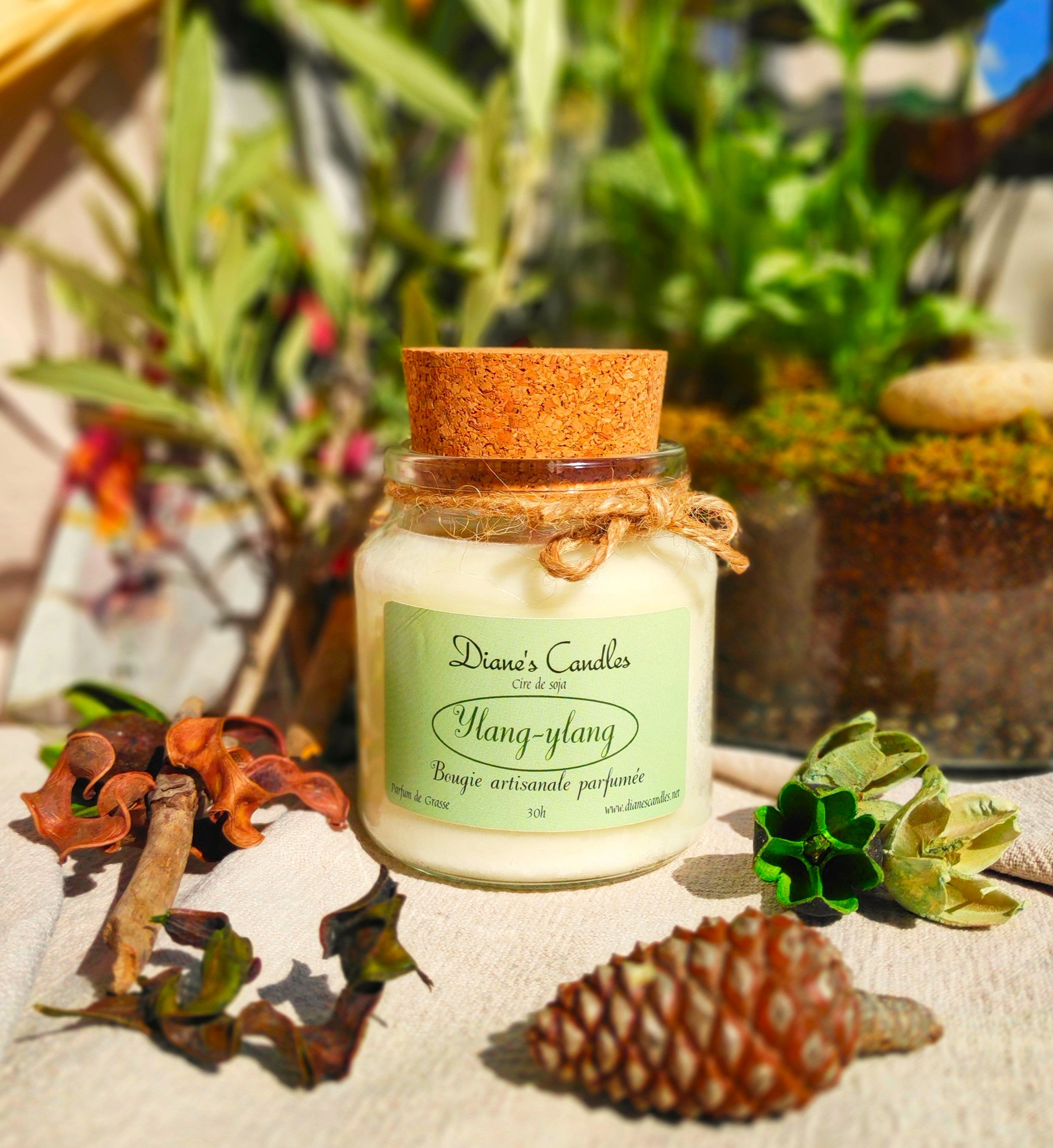 Bougie bonbonnière parfumée - Ylang-ylang