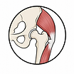 Muscle and Tendon Problem Icon