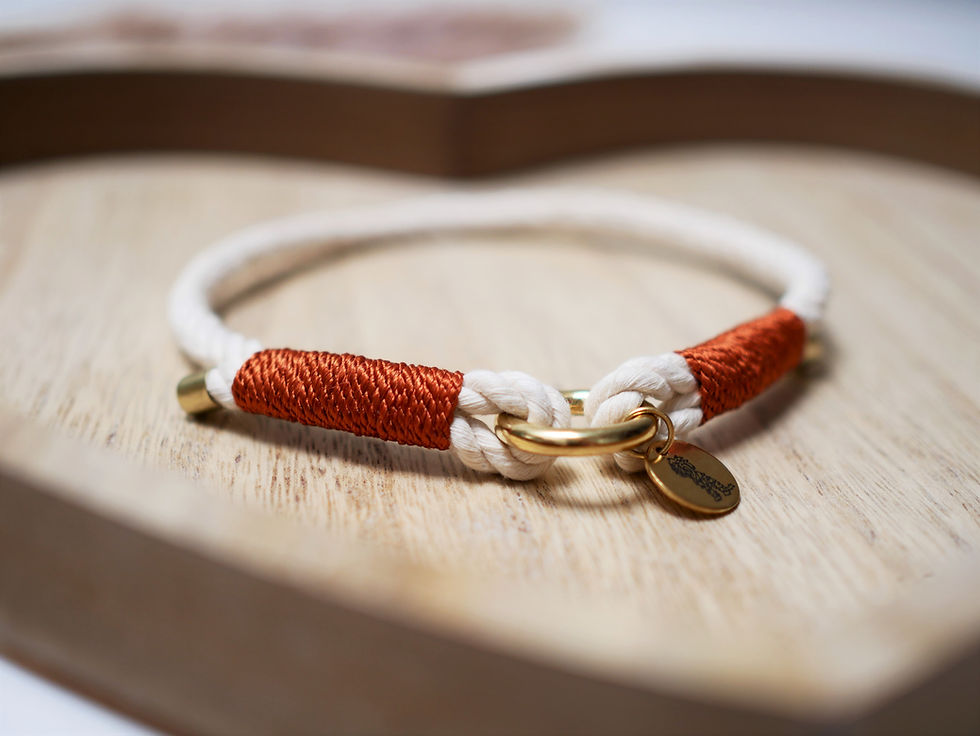 Thumbnail: Jewelry collars Natural