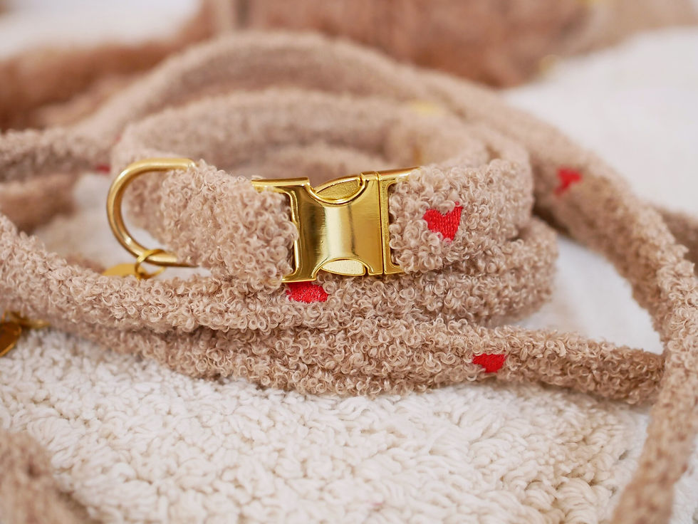 Thumbnail: Leine Cozy Teddy | Karamell