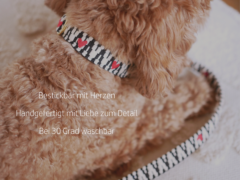 Miniaturbild: Leine Black Creme