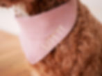 Thumbnail: Muslin neckerchief - pink
