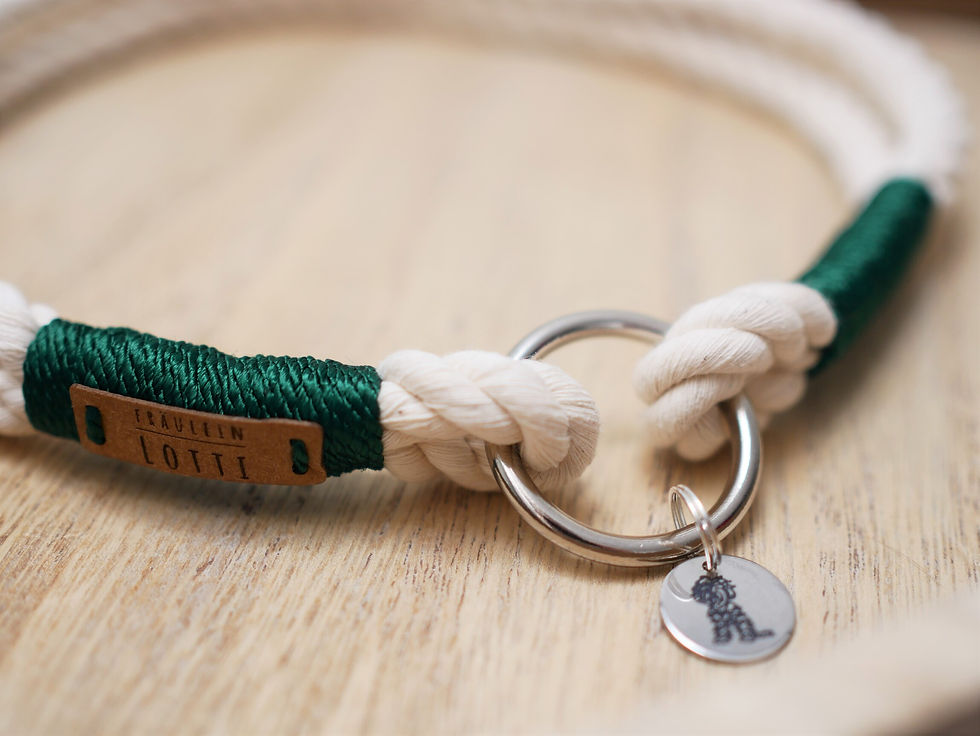 Thumbnail: Jewelry collars Natural