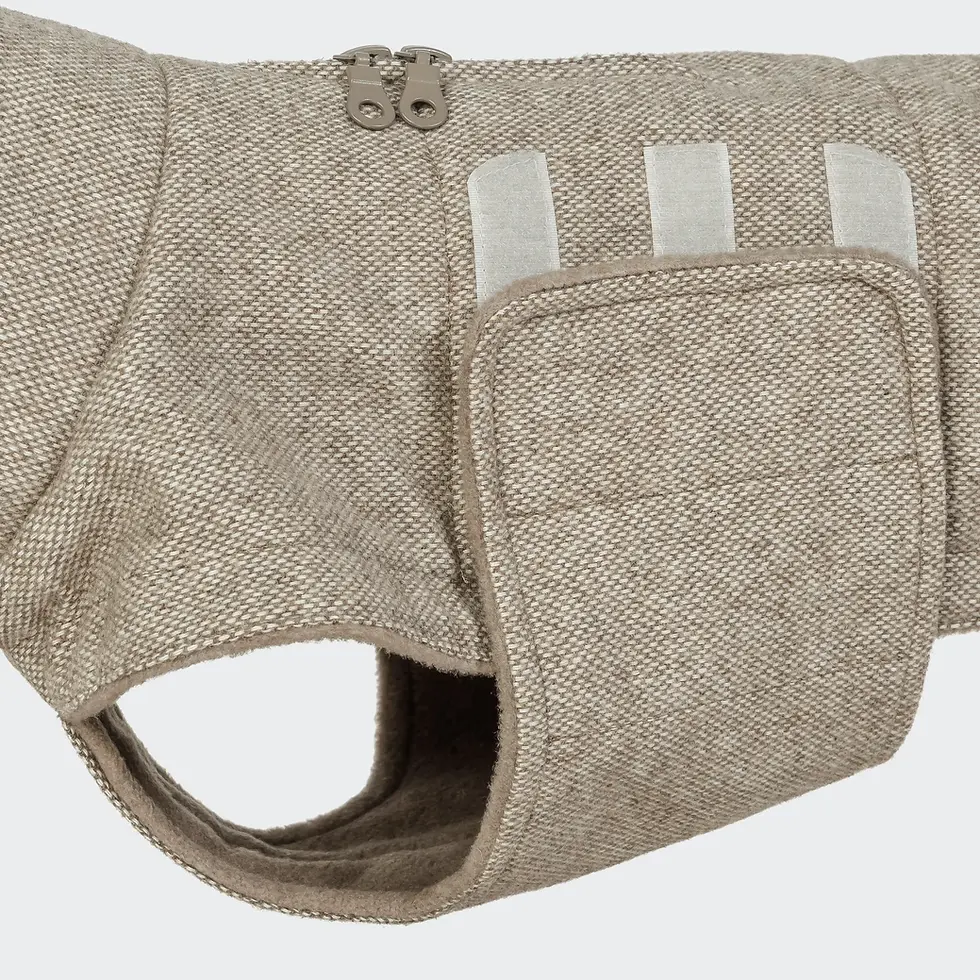 Thumbnail: Hundemantel DACKEL Brooklyn Tweed Beige