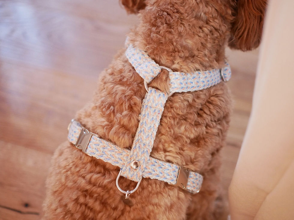 Miniaturbild: Geschirr Aqua Pastell