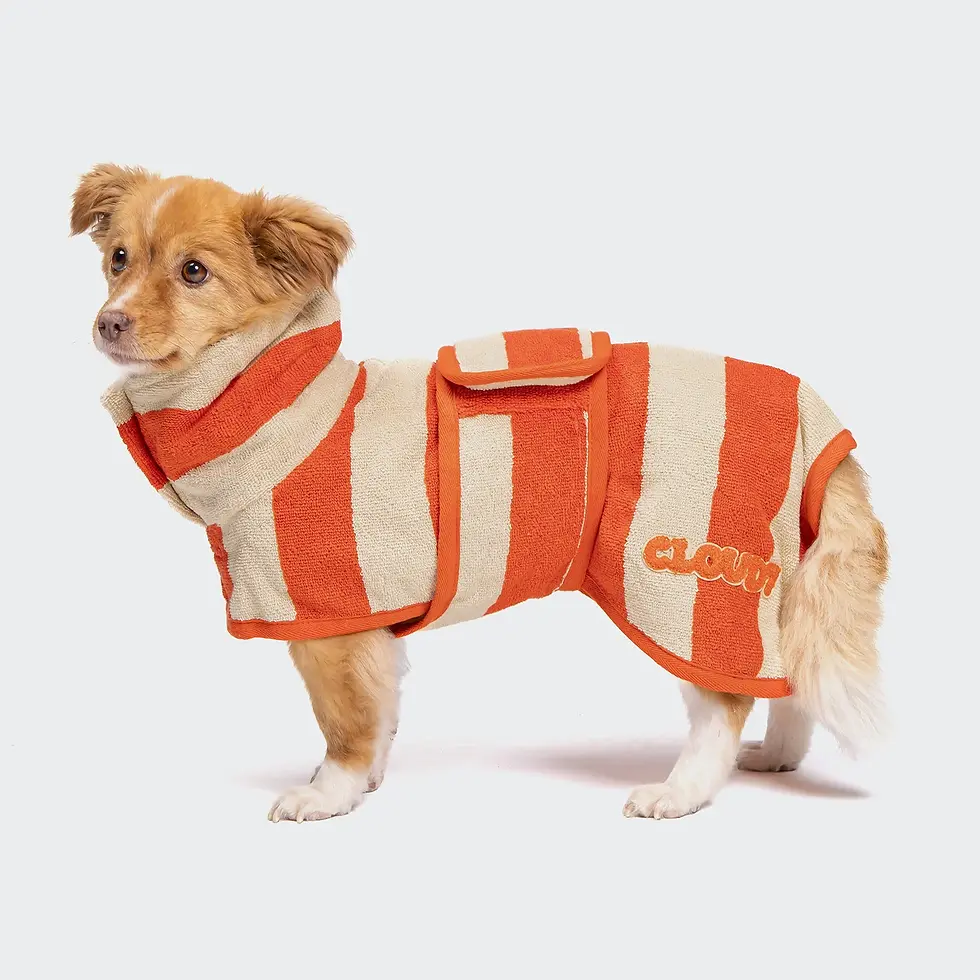 Thumbnail: Hundebademantel Wannsee Stripes