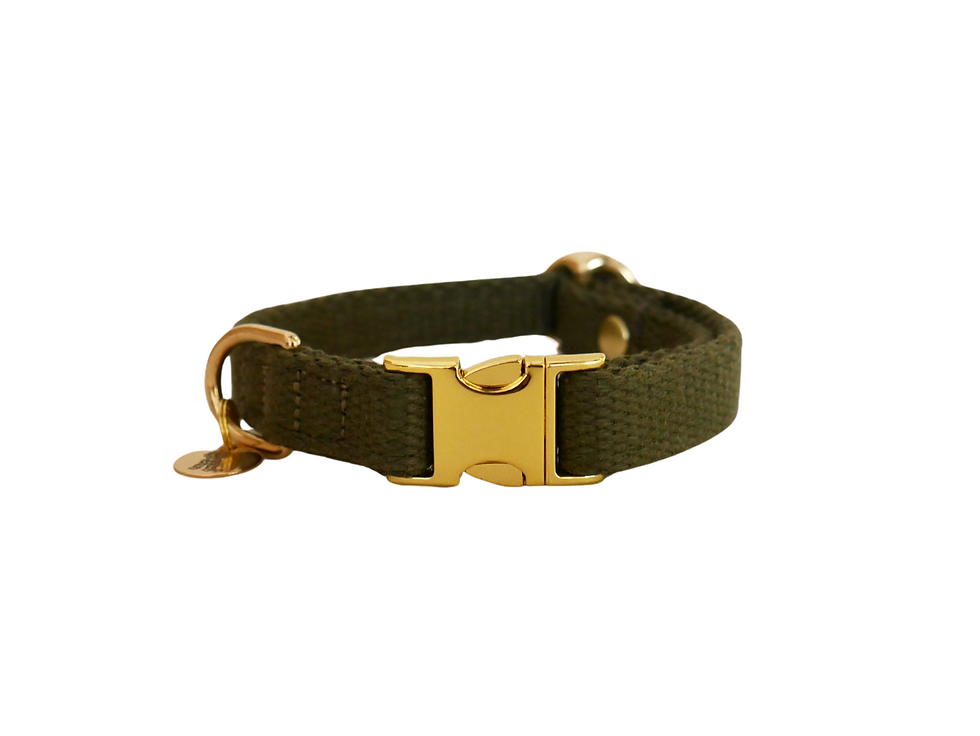 Thumbnail: Halsband Cotton | Oliv