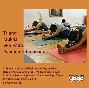Forward Bend..Triang Mukha Eka Pada Paschimottanasana