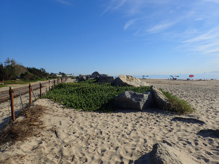 Santa Barbara and Santa Monica J+41/42