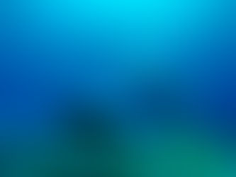 PADI Open Water diver, Cozumel Island J+68/69/70