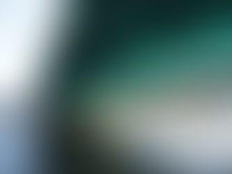 Sumida River Cruise, Sumidagawa Ohashi 隅田川大橋