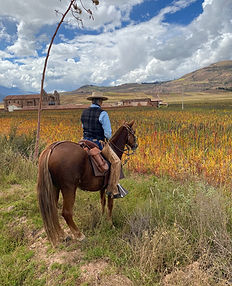Horse riding expedition in Peru, the Sacred Valley.