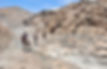 Coastal horseback riding expeditions in Arequipa, Peru.