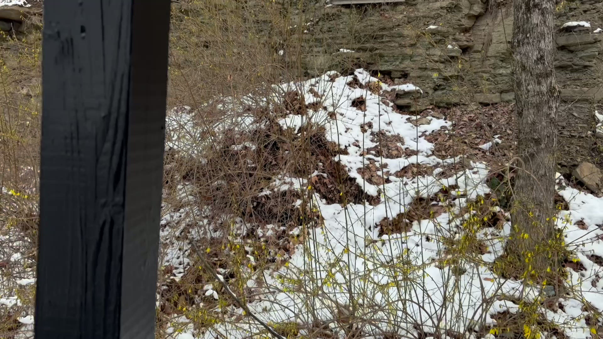 Millvale Evergreen Ave Unit 2