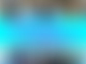 ANA Blue Monsters ダンスショー~presented by 羽田オーケストラ~