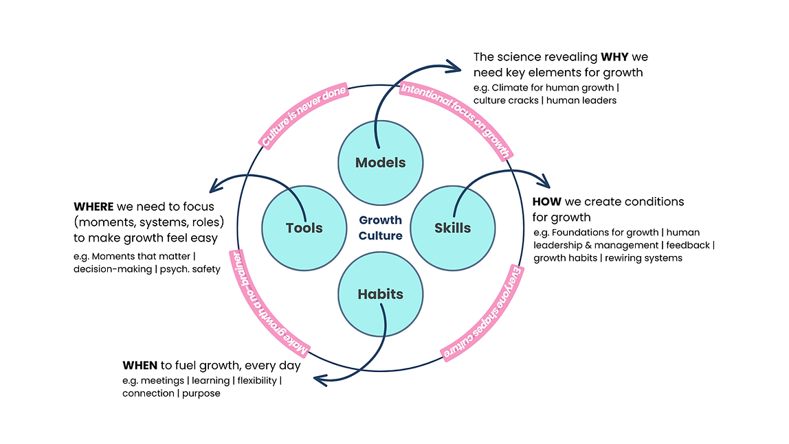 reset operating model