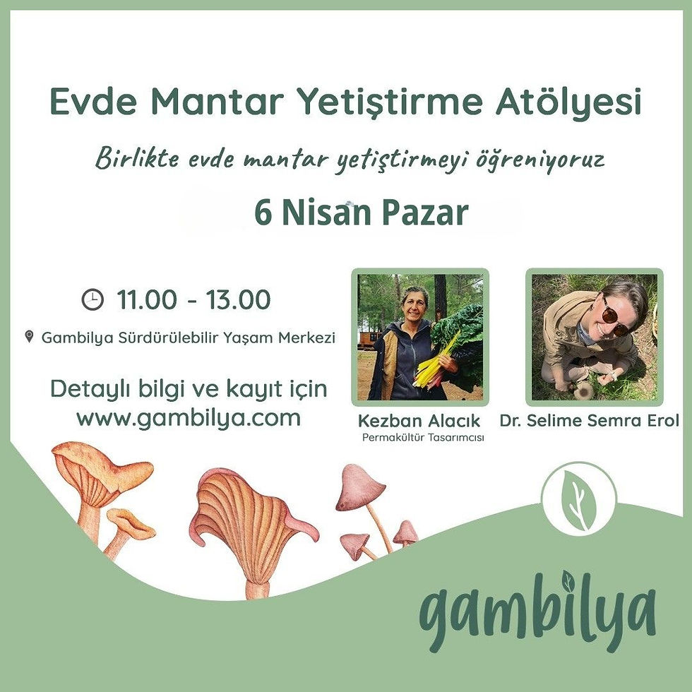 Evde Mantar YetiştirME Atölyesi