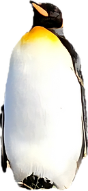 20251010_122942(1).png