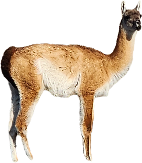 20251010_094953_edited.png
