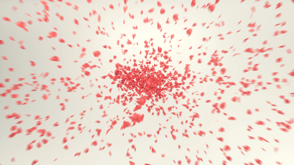 에이플디 Hucord Brand_최종본(무압축)_220502.mov_20220509_112936.626.png