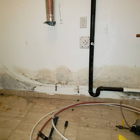 Mold Removal