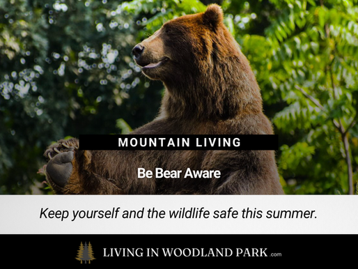 Keeping Bears Out of Your Trash and Bird Feeders This Summer