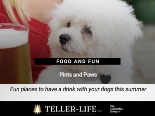 Paws and Pints: The Top 5 Pet-Friendly Restaurants in the Pikes Peak Region