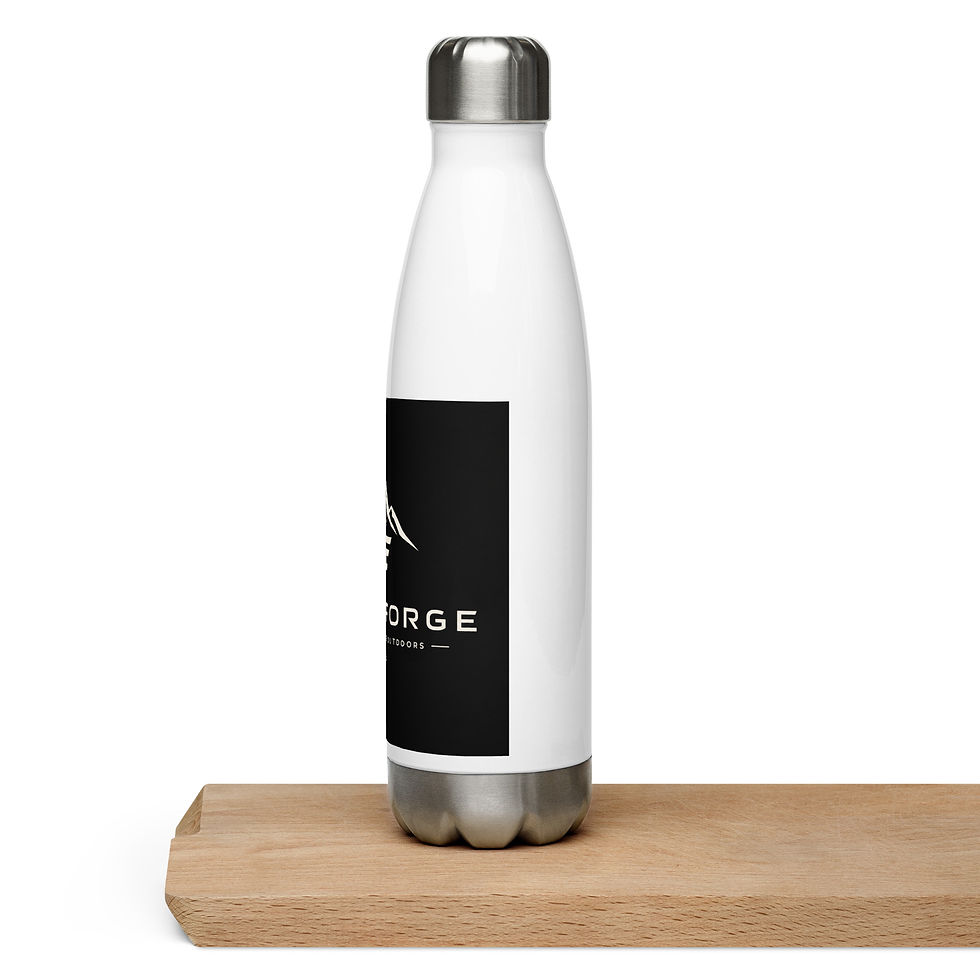 Thumbnail: Stainless steel water bottle