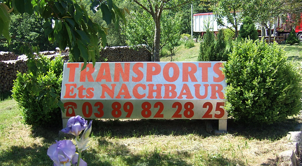 2006-17.png