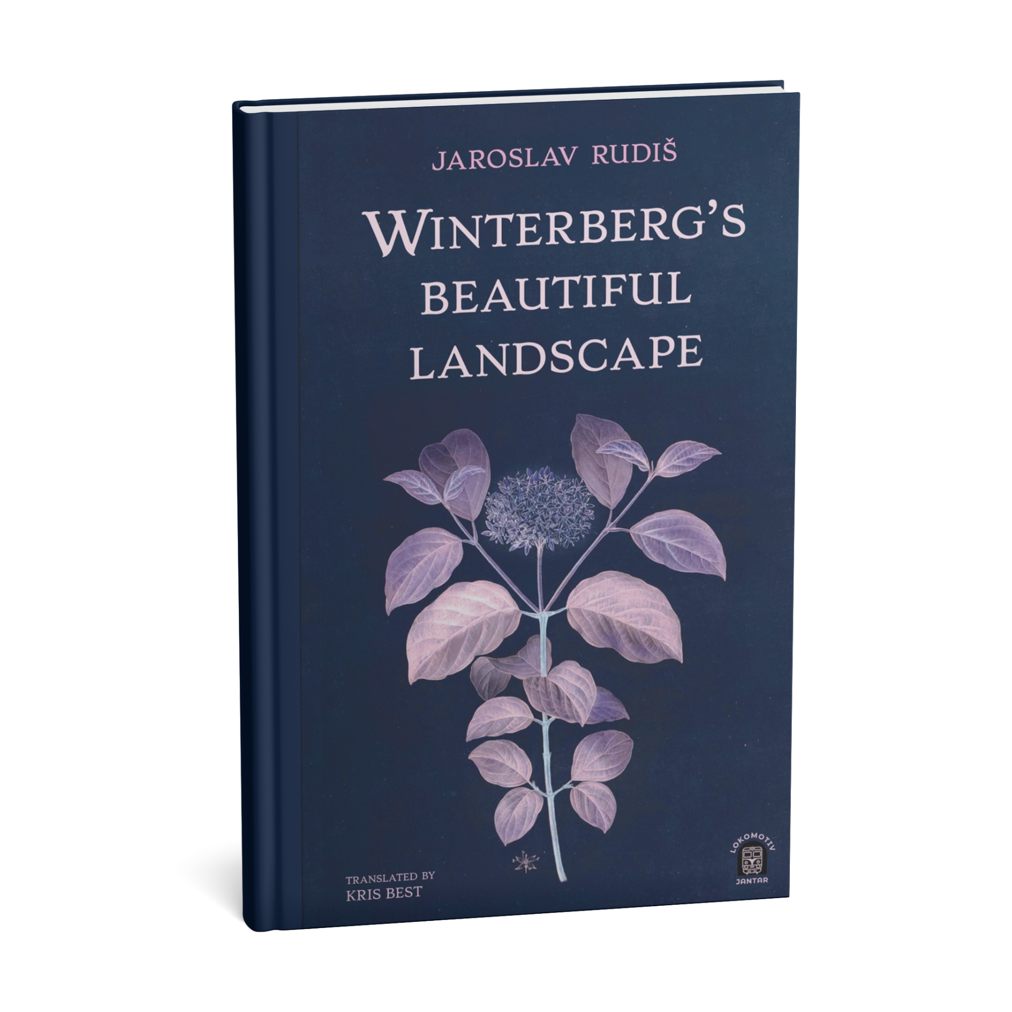 Winterberg's Beautiful Landscape