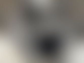 How Much do Angora Rabbits Cost?