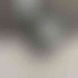 Magpie Angora Rabbit