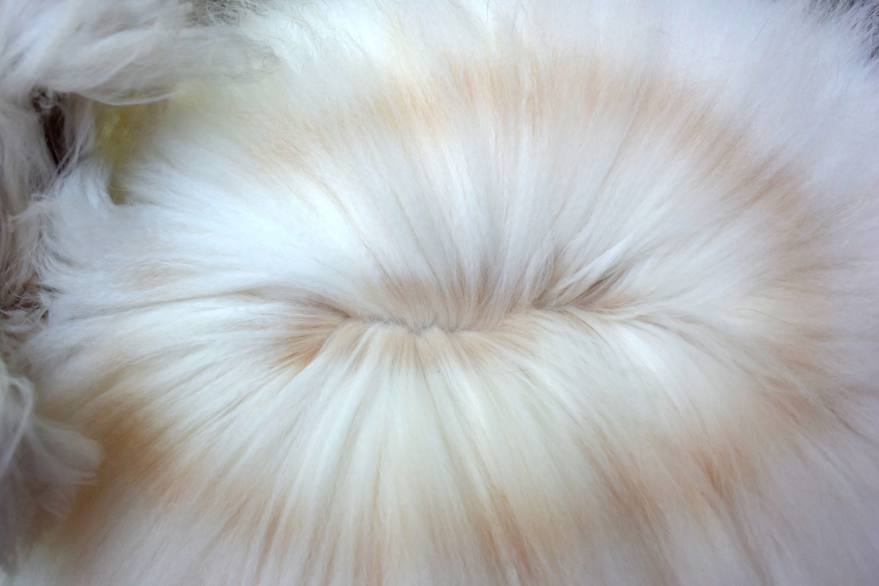 Grade A - Broken Fawn - Fiber - 1 oz