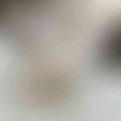 Lilac Magpie English Angora