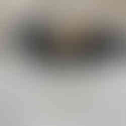 English Angora Otter Kits