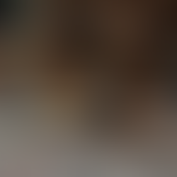 Dog and English Angora