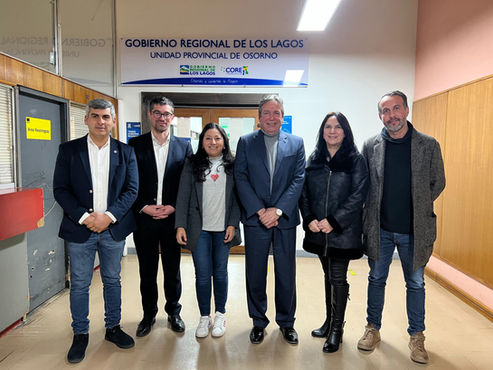 Hospital de Frutillar presenta proyecto de pabellón quirúrgico ante Comisión de Salud del CORE