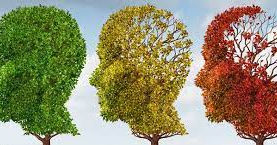          Alzheimer's and the warning signs you must know