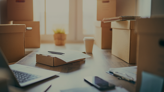 Black and White, Horse Illustration and Typographic, Desktop Wallpaper.png