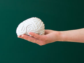 Creating a Juicy Group of Brainstormers