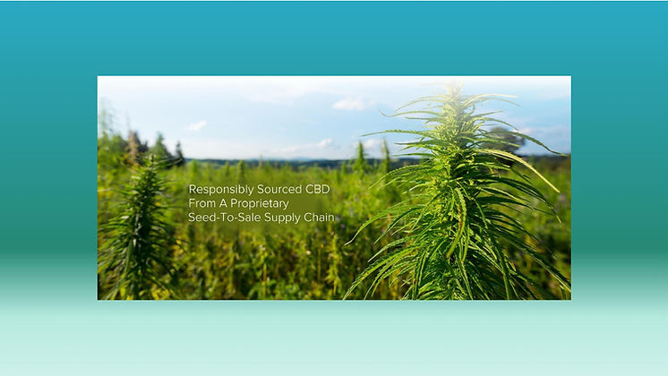 canna_page-0001.jpg