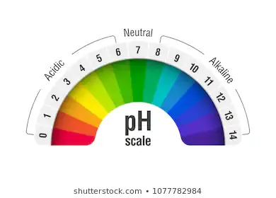 Why pH Balanced Water Could Be the Secret to Workplace Productivity