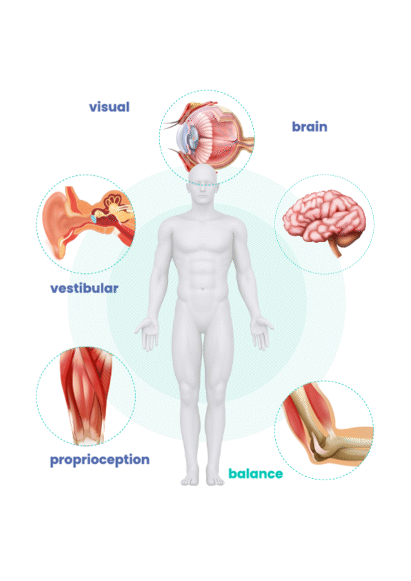 Human Balance system PhysioSensing 