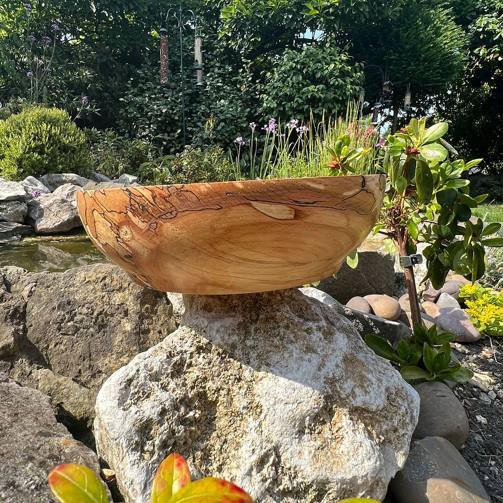 Thumbnail: Spalted Beech   SOLD