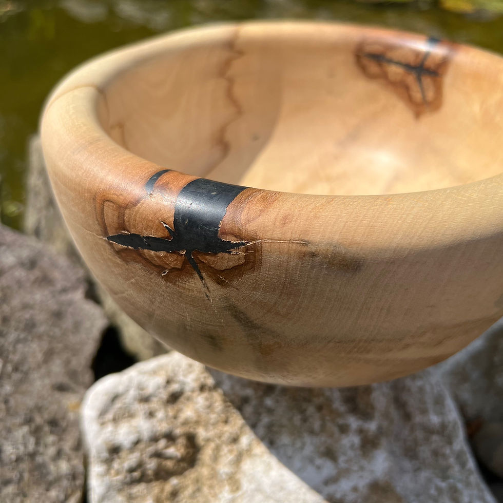 Thumbnail: Spalted Horse Chestnut 