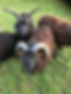 IMG_8940.JPEG